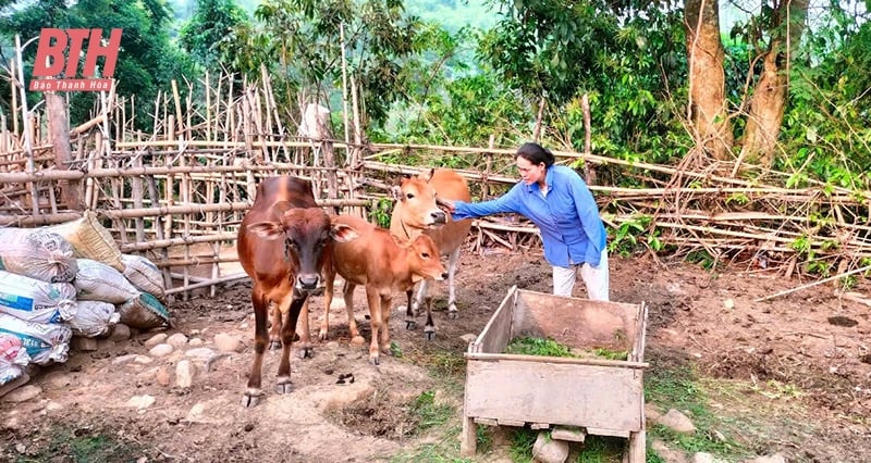 គំរូសេដ្ឋកិច្ចរួមរបស់ស្ត្រី Tam Thanh