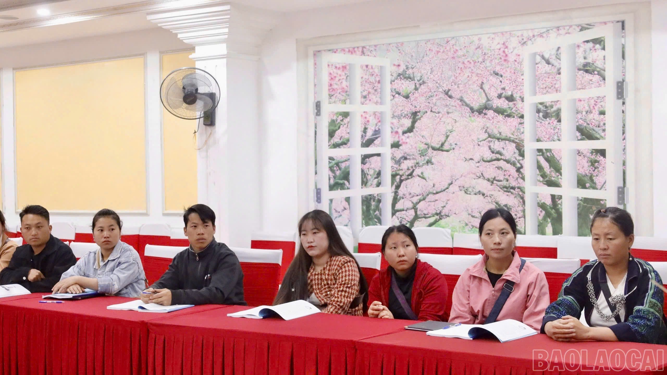baolaocai-br_z6597139504549-8ef73af4773947ce004e5932155e7b5d.jpg