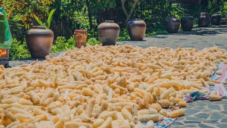 Vẻ đẹp bình yên của không gian Hợp tác xã Sinh Dược ảnh 16