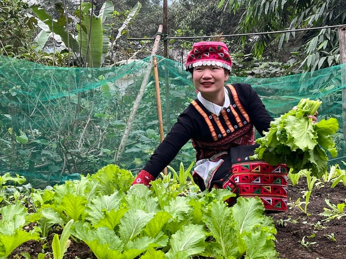 Cô gái người Xá Phó tạo sinh kế từ mạng xã hội
- Ảnh 1.