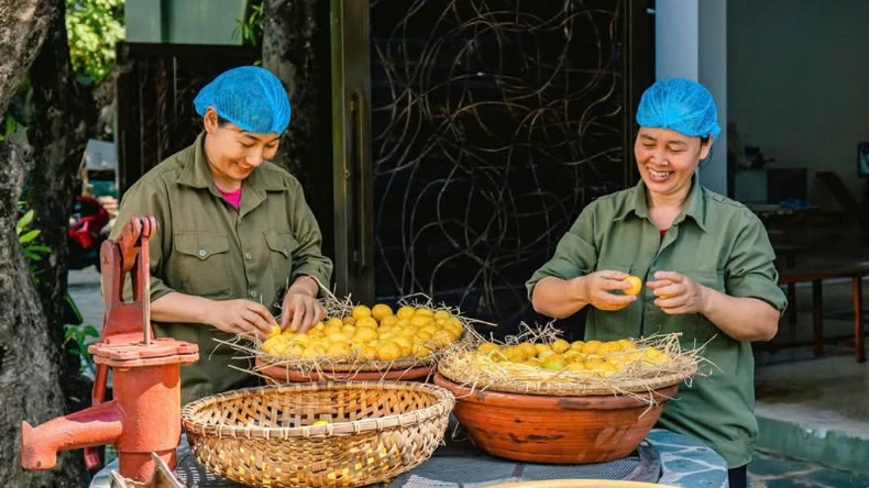 Vẻ đẹp bình yên của không gian Hợp tác xã Sinh Dược ảnh 6