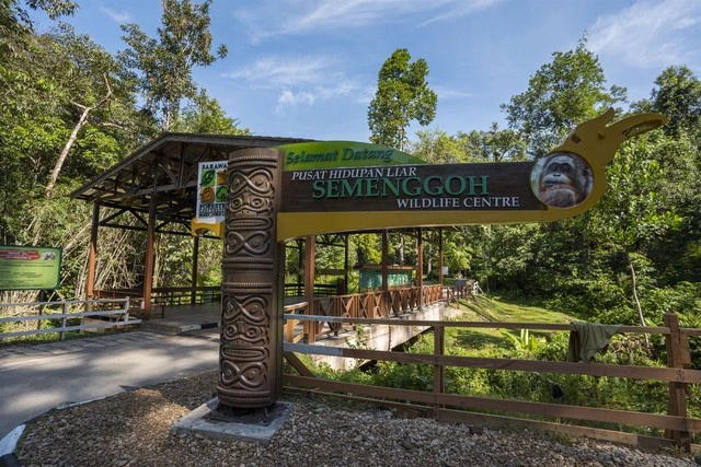 semiggoh-wildlife-centre.webp