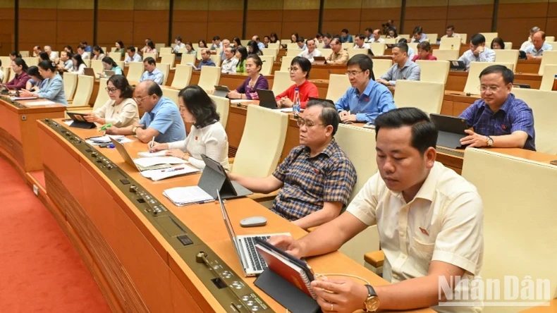 Các đại biểu dự phiên họp. (Ảnh: BÙI GIANG)