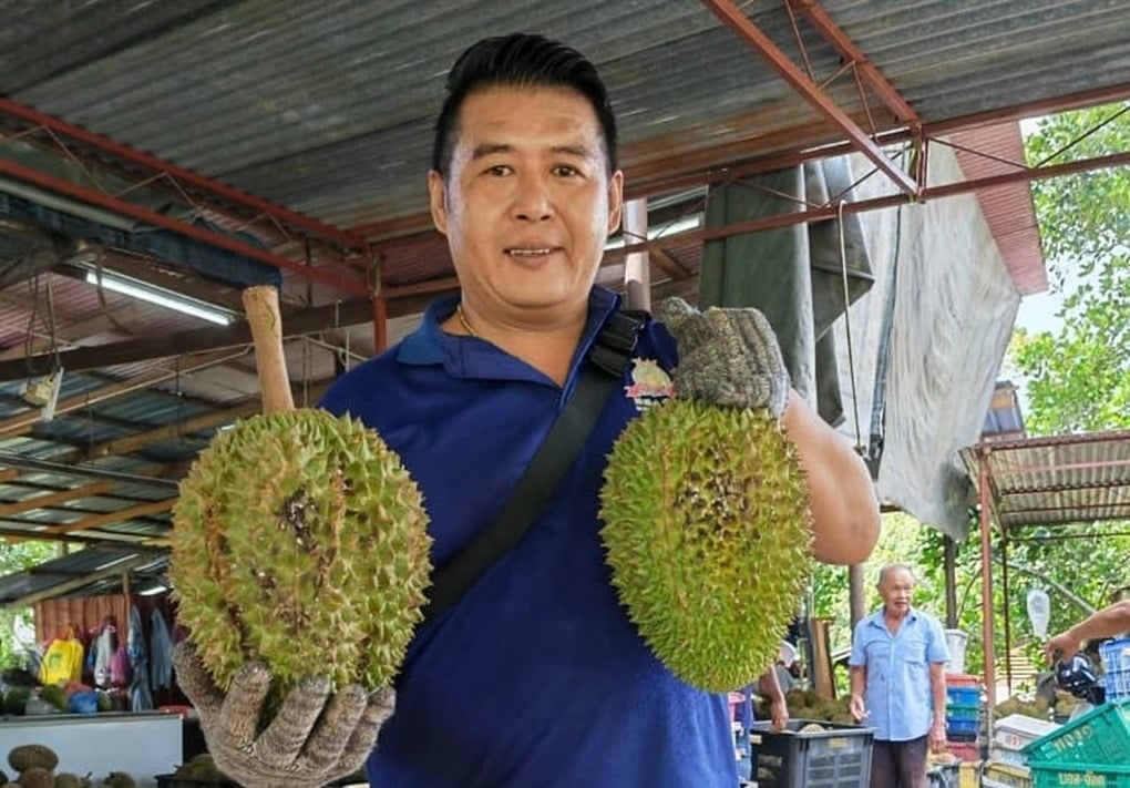 Xuất hiện giống sầu riêng mới gây sốt, giá đắt hơn cả Musang King - 1