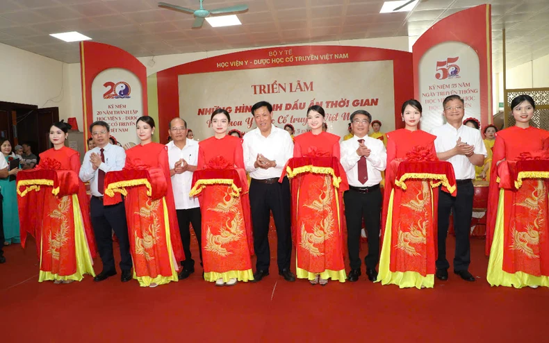 Giới thiệu những tinh hoa y, dược cổ truyền Việt Nam ảnh 1