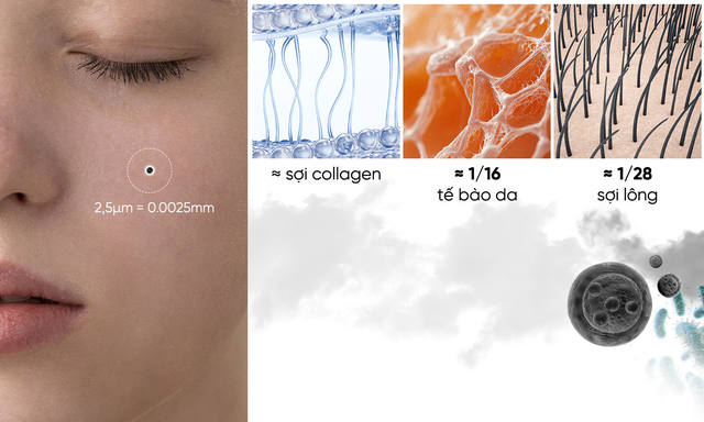 Da bị stress vì ô nhiễm không khí - cần phục hồi như thế nào?- Ảnh 1.