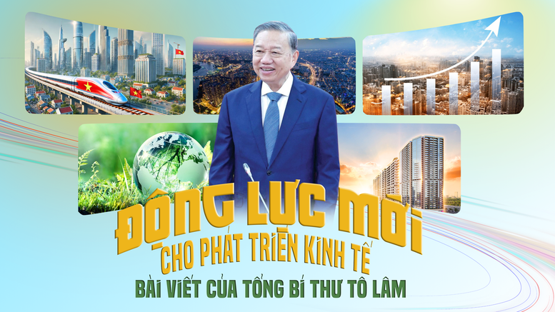 Bài viết 