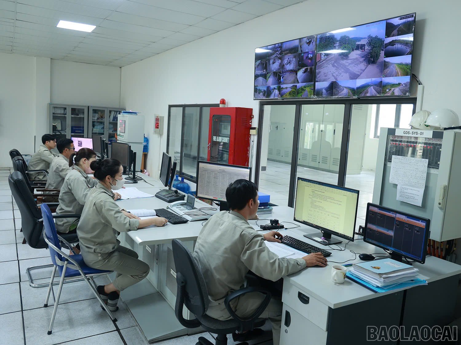 baolaocai-br_z6595338072394-caa10848a5e0bf30804da10d94ac49f6.jpg