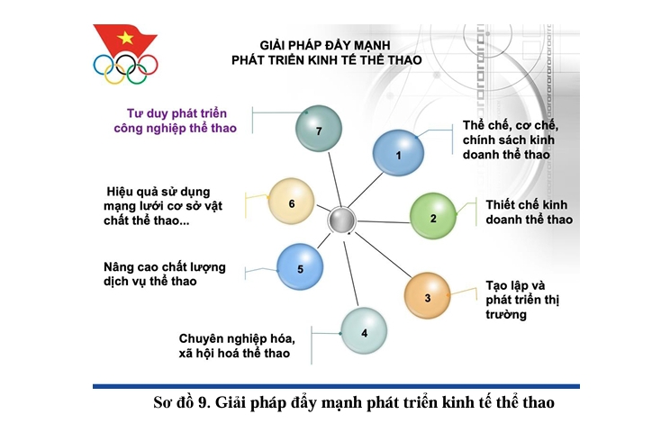 Giải pháp thực hiện chương trình phát triển các môn thể thao trọng điểm chuẩn bị tham dự các kỳ Olympic, ASIAD giai đoạn 2026-2046  - Ảnh 8.