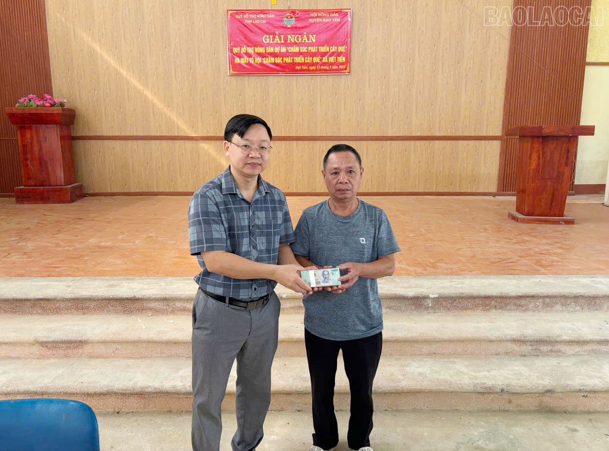 baolaocai-tr_1.jpg