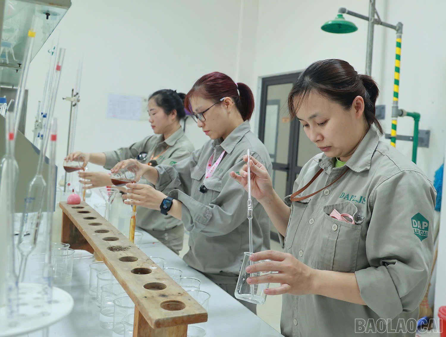 baolaocai-br_z6595338086995-94d14eb899086213b39385a50475795f.jpg