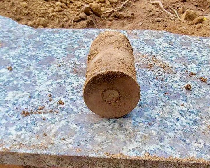Tháp Nhạn - Ảnh 1.
