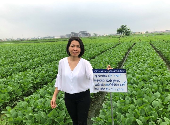 Nữ kỹ sư đam mê sản xuất rau sạch