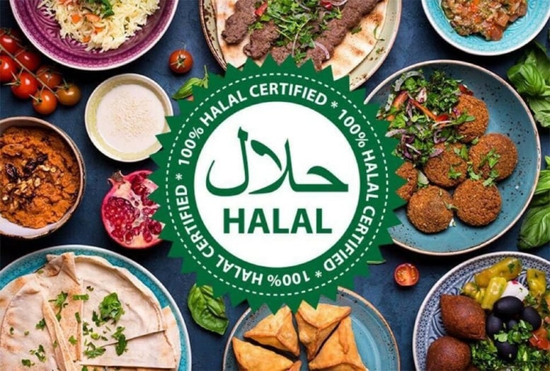 Nghiên cứu, xây dựng kế hoạch thúc đẩy xuất khẩu thực phẩm Halal- Ảnh 1.