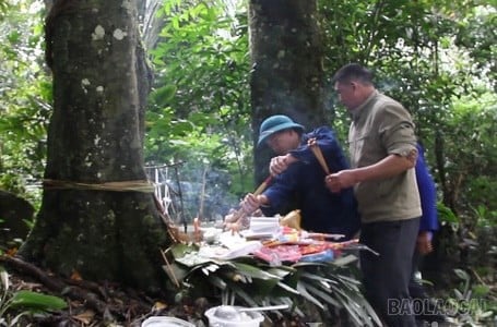 baolaocai-br_img-9711.jpg