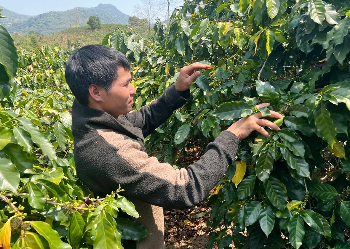 Ho Ma strives to escape poverty
