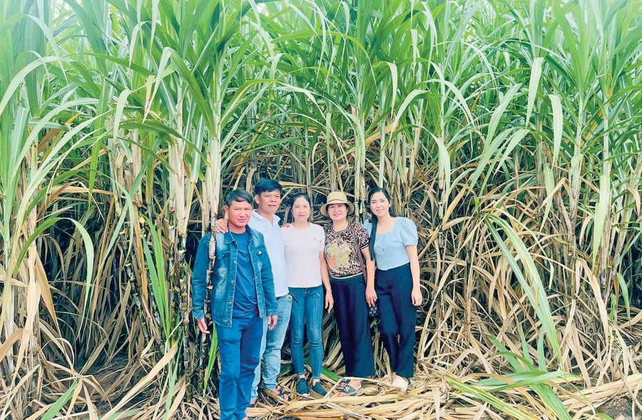 0-anh-lieu-bia-trai-chong-chi-nguyen-thi-lieu-thon-3-xa-po-to-cung-mot-so-nguoi-ban-ben-dien-tich-mia-tai-lao-anh-nvcc.jpg