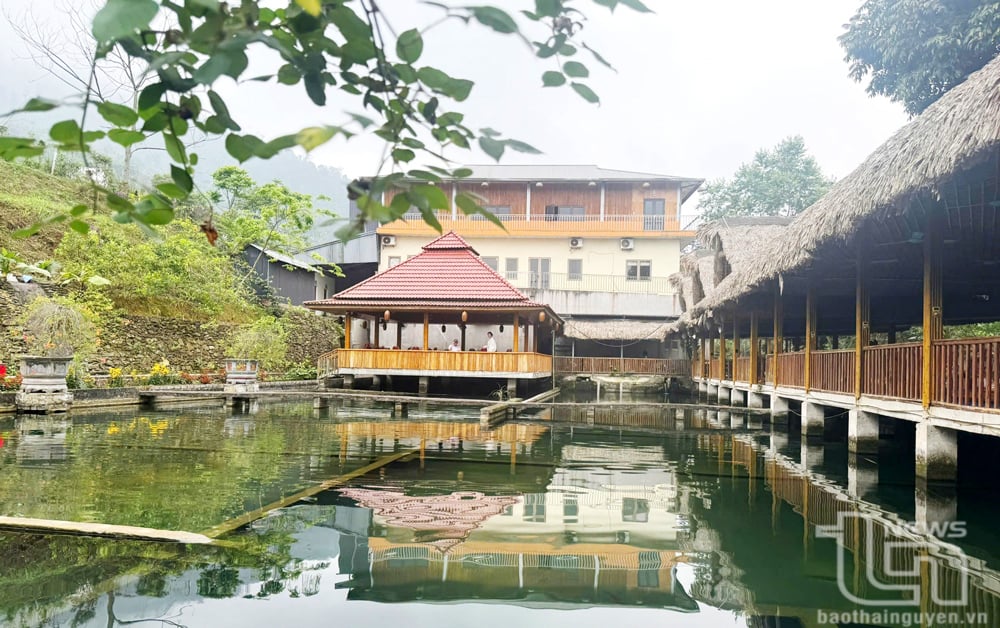 Nhiều hộ dân ở xã La Bằng (Đại Từ) đầu tư nuôi cá tầm, xây dựng nhà hàng phục vụ du khách đến tham quan, thưởng thức ẩm thực.