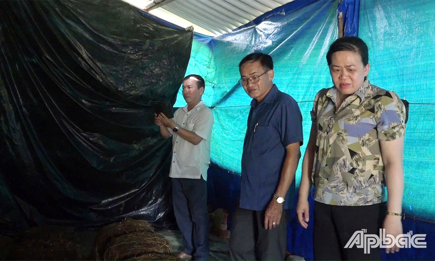 Đoàn tham quan mô hình trồng nấm