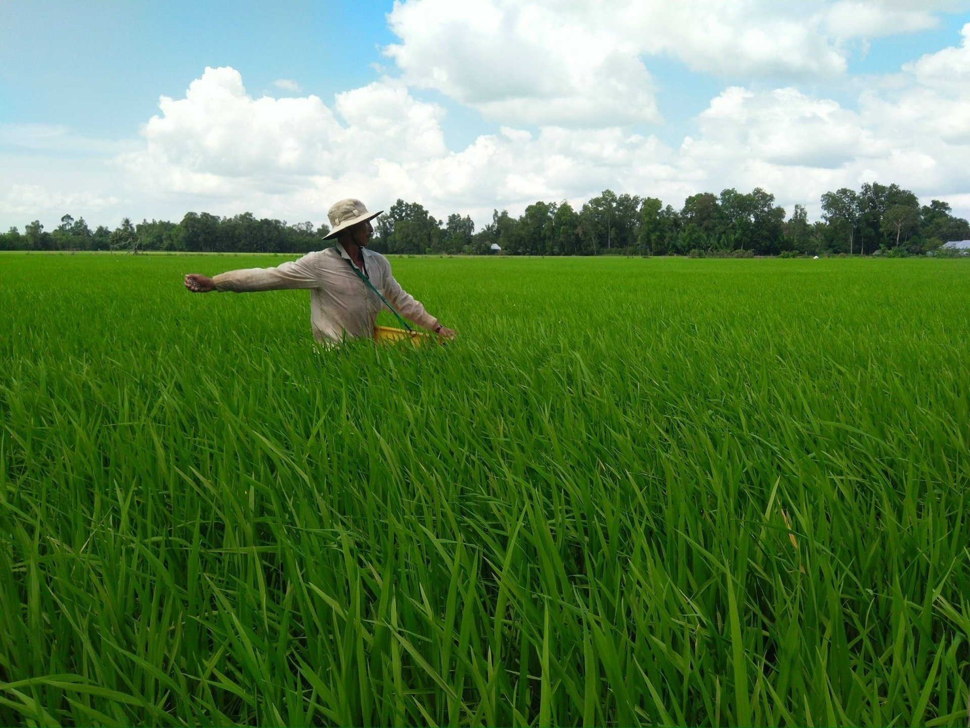 Giá phân bón ngày 14/5/2025: Phân Urê giảm, NPK tăng nhẹ