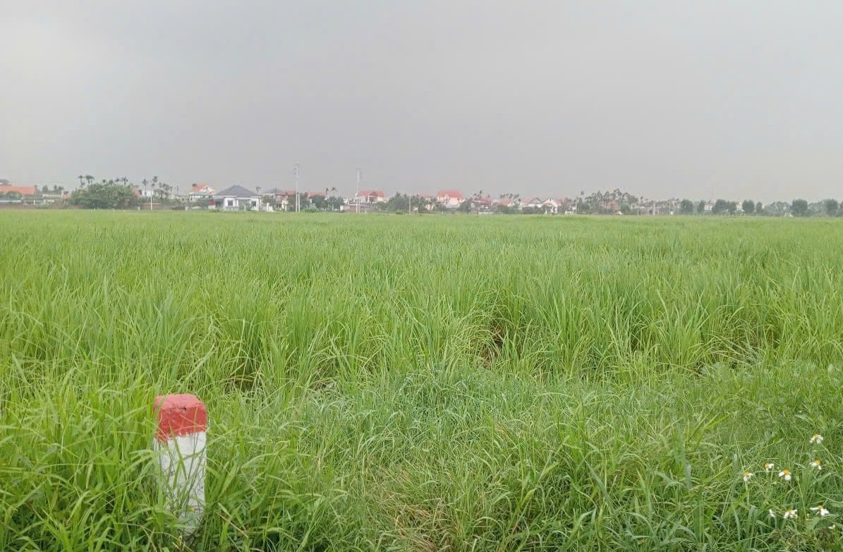 ស្ពាន-គម្រោង.jpg