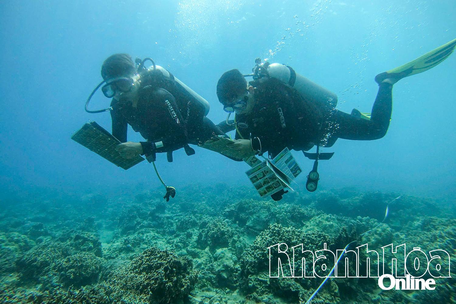 Các thợ lặn thu thập dữ liệu đáy biển ở vịnh Nha Trang.
