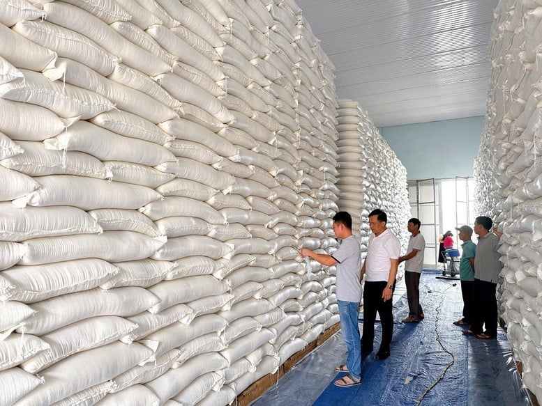 Xuất cấp không thu tiền 668,505 tấn gạo từ nguồn dự trữ quốc gia cho 3 tỉnh: Hà Giang, Tuyên Quang và Bắc Kạn