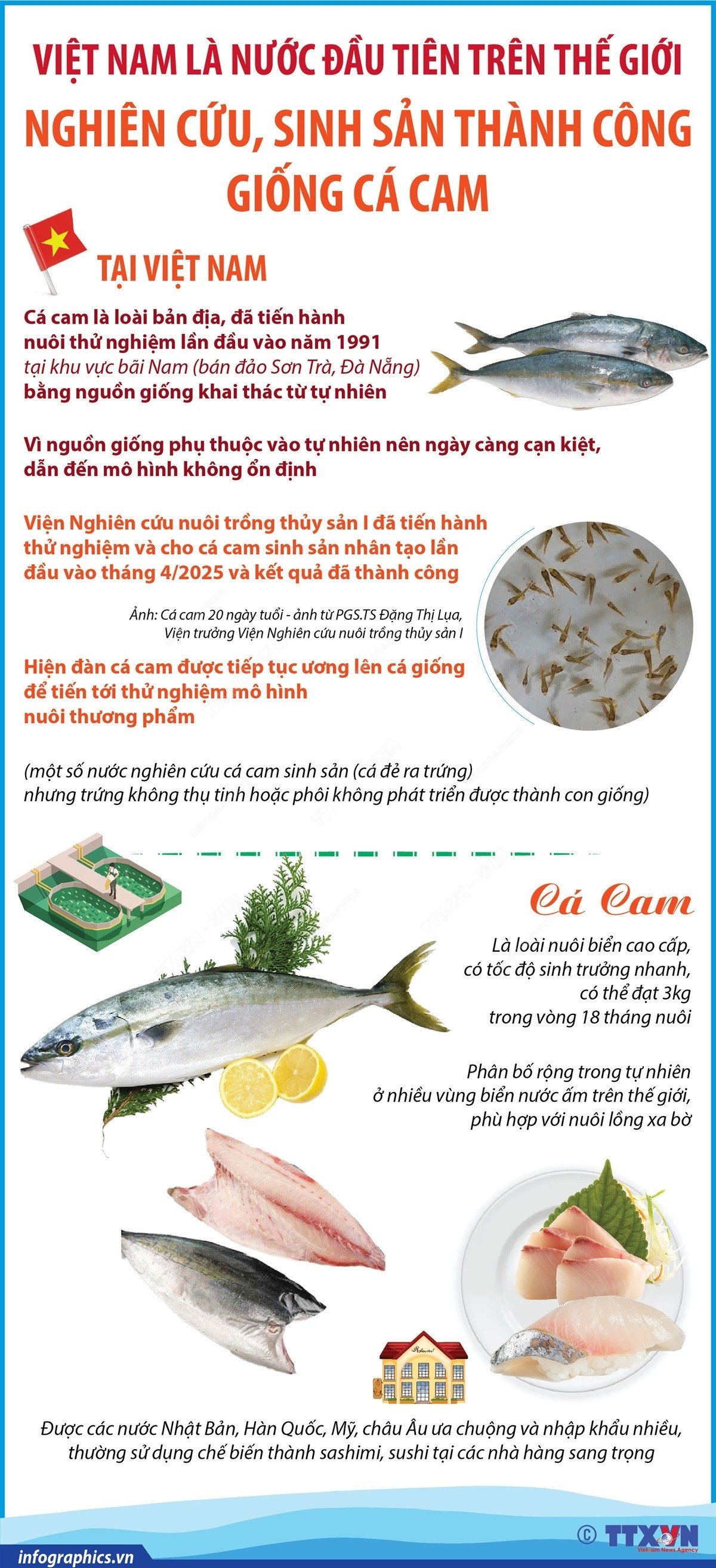 1405-ca-cam.jpg