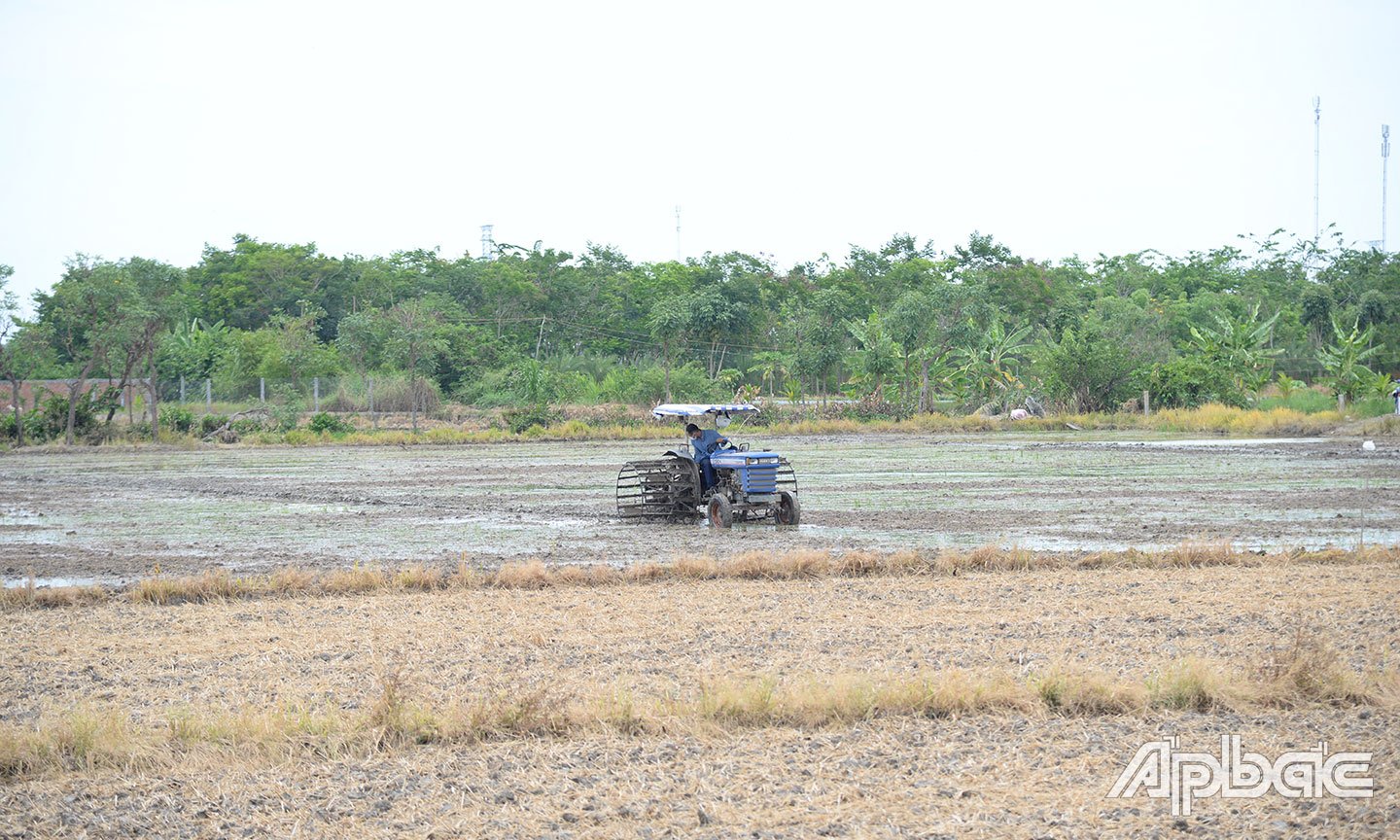 Người dân xã Yên Luông cày xới đất để gieo sạ vụ lúa hè thu.