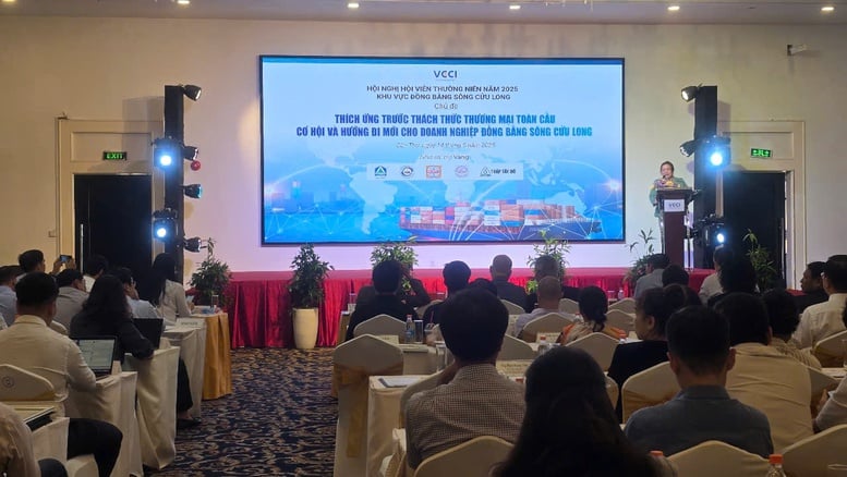 Doanh nghiệp ĐBSCL: Định hình chiến lược kinh doanh trong bối cảnh mới- Ảnh 1.