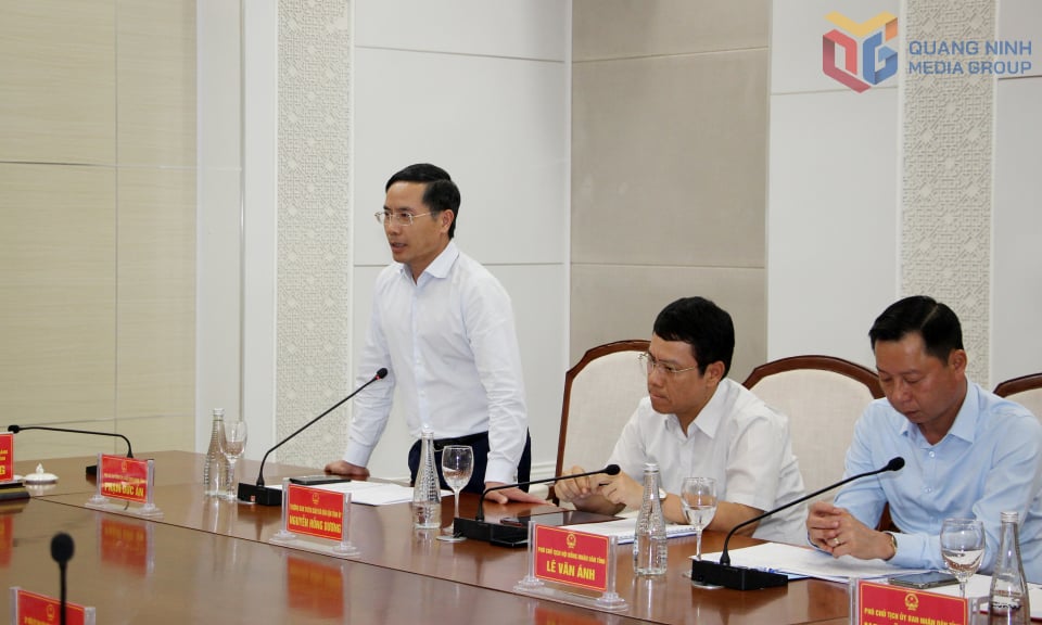Đồng chí Phạm Đức Ấn, Phó Bí thư Tỉnh ủy, Chủ tịch UBND tỉnh, phát biểu tại hội nghị.