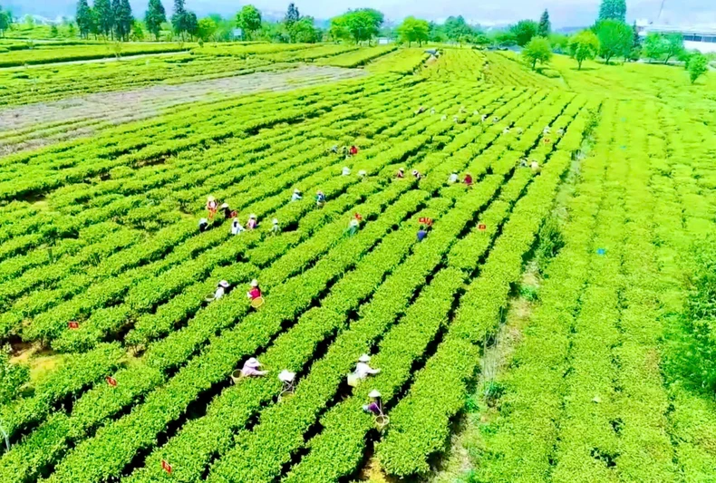 Đẩy mạnh chuyển đổi số, công nghiệp thông minh ảnh 1