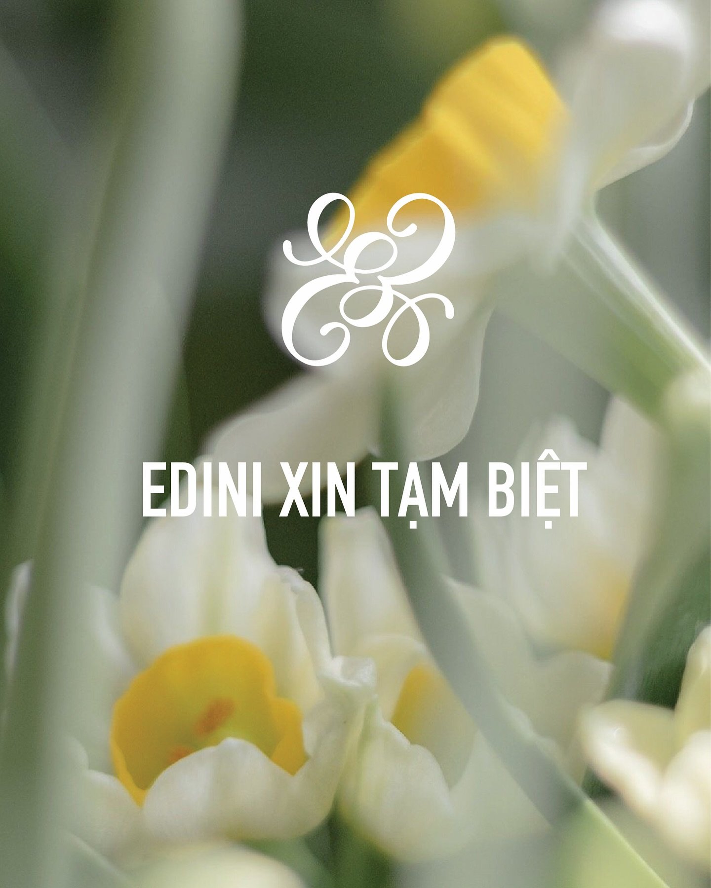 Thời trang Việt giữa 'cơn bão' đóng cửa- Ảnh 2.