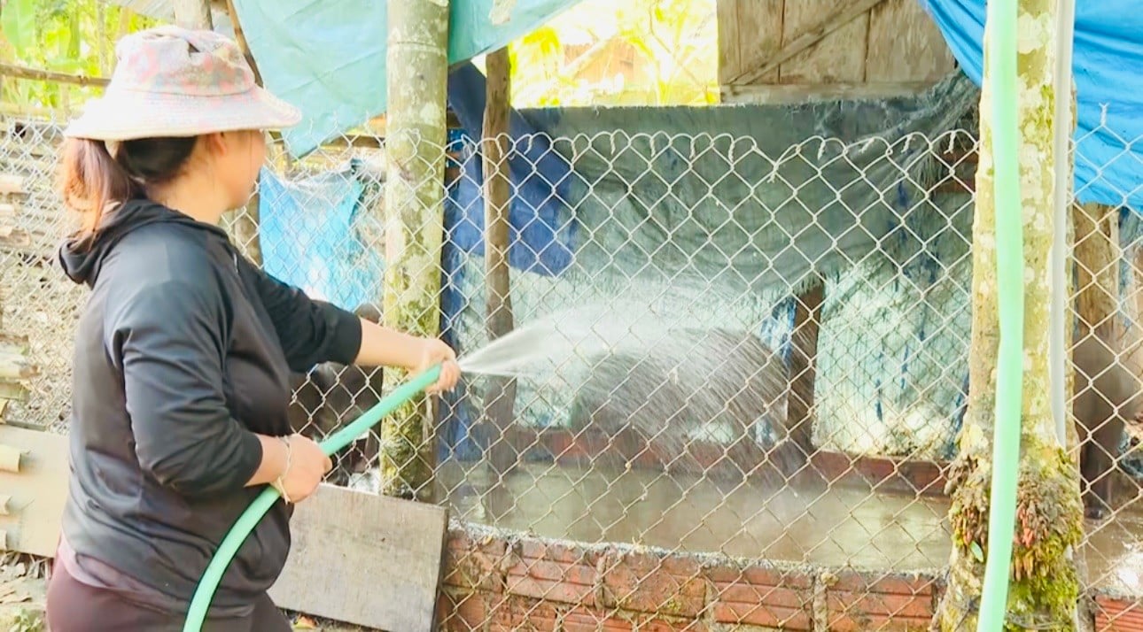 Giấc mơ thoát nghèo của người dân vùng cao Quảng Ngãi ảnh 3