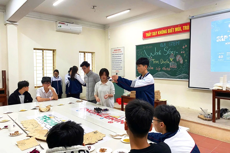 Định hướng chọn trường trung học phổ thông cho mùa tuyển sinh lớp 10 ảnh 3