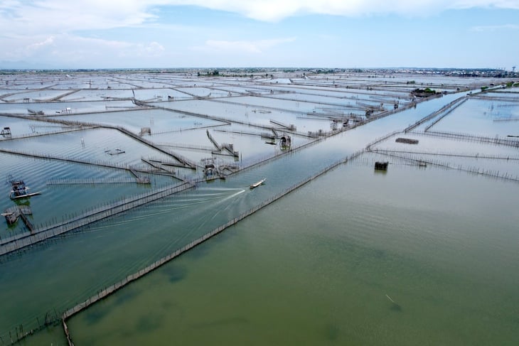 sáp nhập - Ảnh 3.