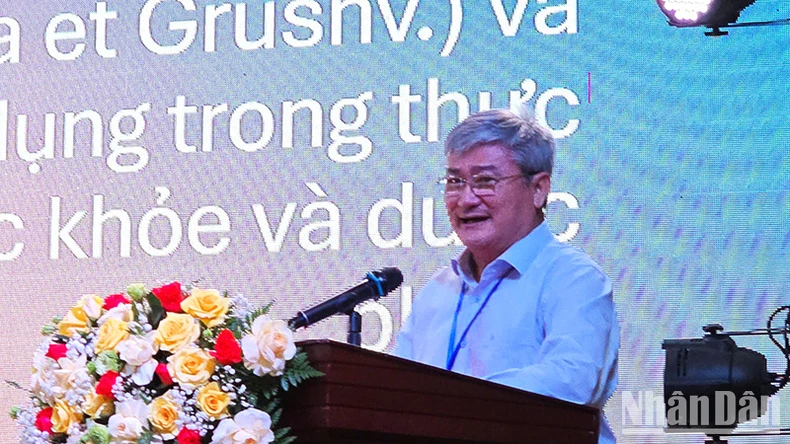Củng cố vị thế sâm Ngọc Linh bằng thành tựu dược lý và khoa học ứng dụng ảnh 2