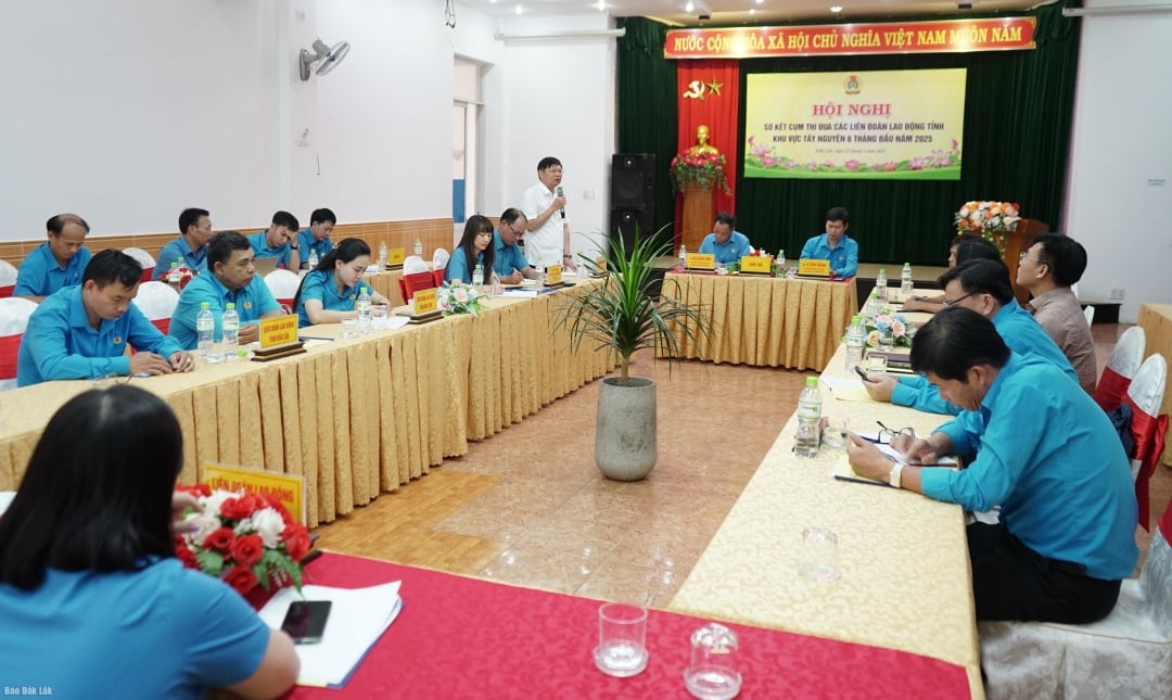 Đại biểu tham dự hội nghị