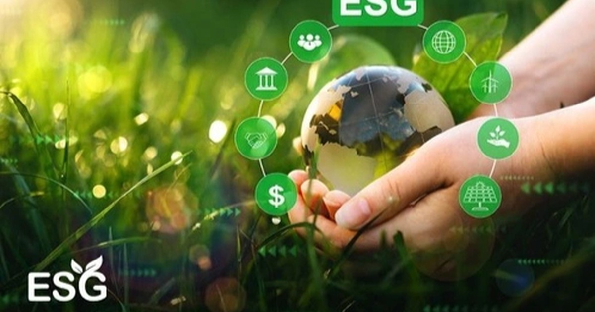 How to make green transition not a burden for businesses?