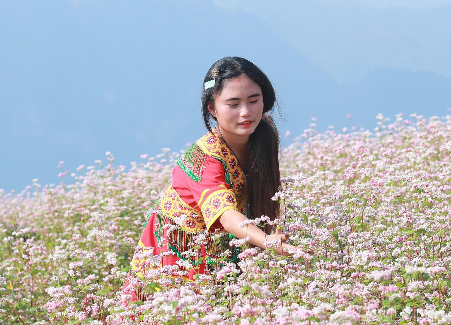 baolaocai-br_z6600789736116-6280331ed59ebaee22bc2d1274a0e2e6.jpg