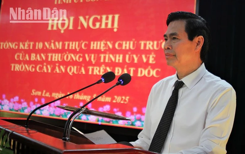 Sơn La tổng kết 10 năm trồng cây ăn quả trên đất dốc ảnh 2