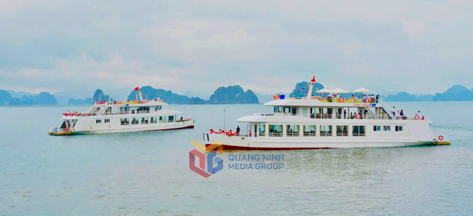 កងនាវាទេសចរណ៍ដែលមកទស្សនាឈូងសមុទ្រ Bai Tu Long ត្រូវបានបណ្តាក់ទុនយ៉ាងទំនើប។