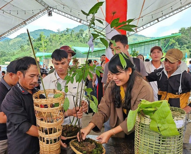 Công bố thêm di sản văn hóa phi vật thể quốc gia - Ảnh 1.
