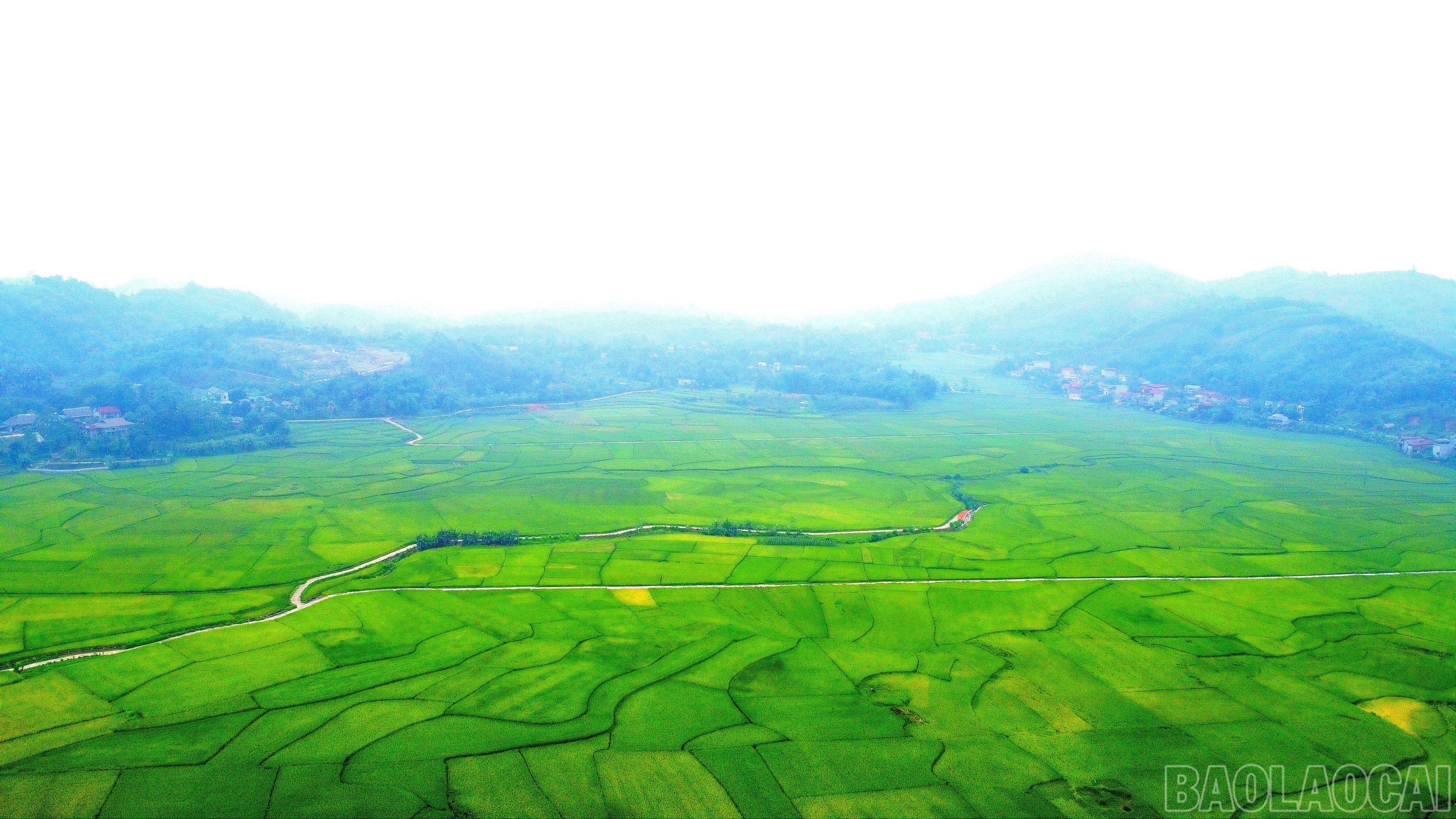 baolaocai-br_img-20250515-151403.jpg