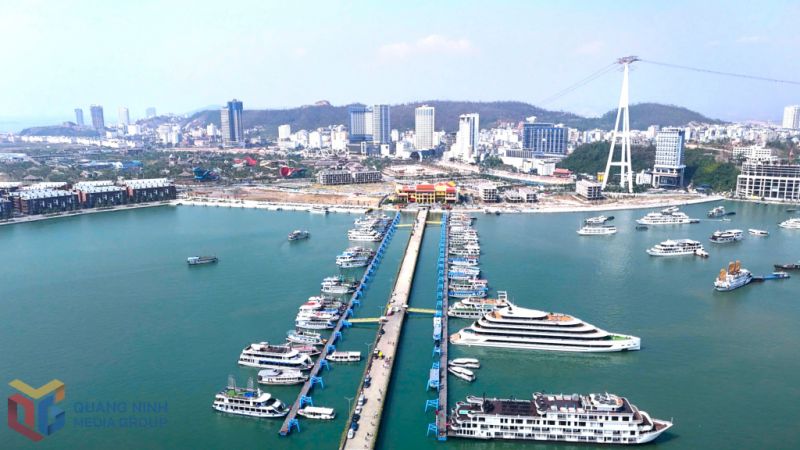 Ngành Du lịch Quảng Ninh bứt tốc đón vận hội mới - Ảnh 4.