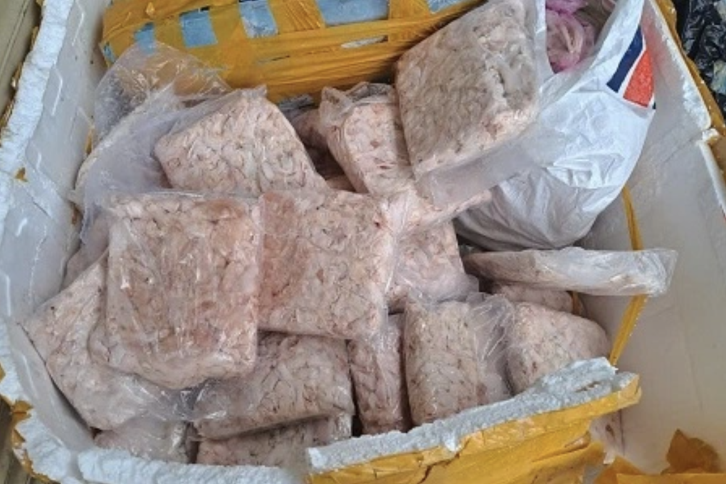 Ho Chi Minh City discovered 50 tons of animal organs and dozens of bird's nest boxes floating - 1