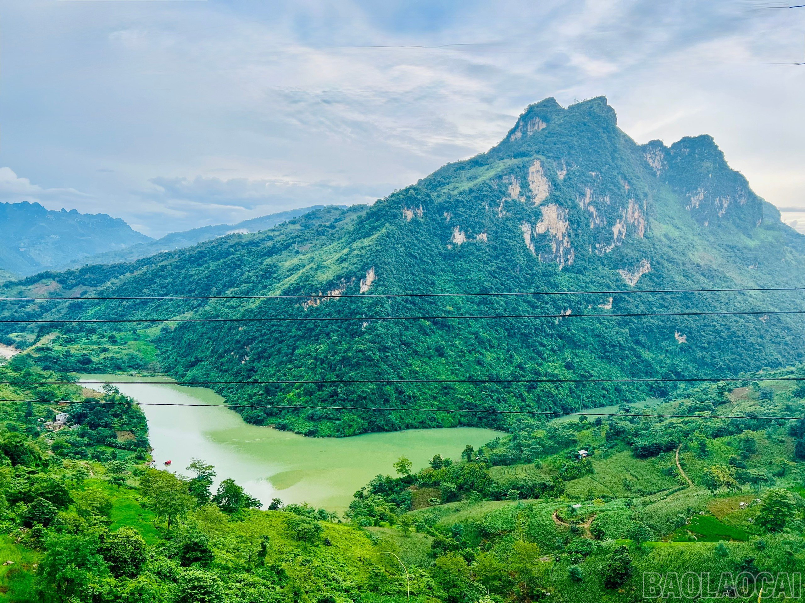 baolaocai-br_z6604884102062-fa01acaba0bb1c4370c938d0d2203b04.jpg