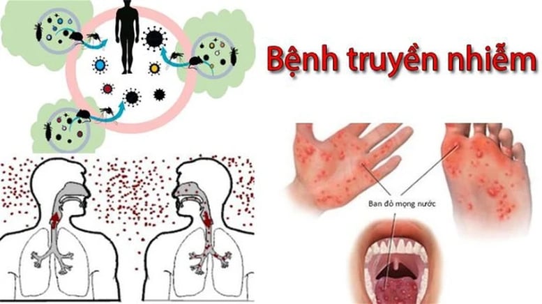Các bệnh truyền nhiễm lây qua đường hô hấp, tiêu hoá. Ảnh minh họa: Chinhphu.vn