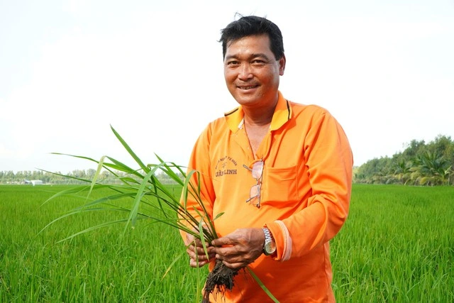 Tuan 'two-rice' and the journey to become 'billionaire Tuan' on a 500-hectare field
