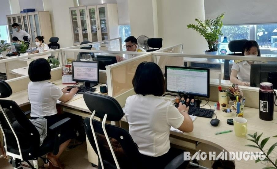 chi-cuc-thu-khu-vuc-v-78eb26de6af3ccd02c19462e1bf06211(1).jpg